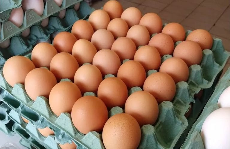 Com aumentos de preços, apreensões de ovos contrabandeados aumentam nos EUA