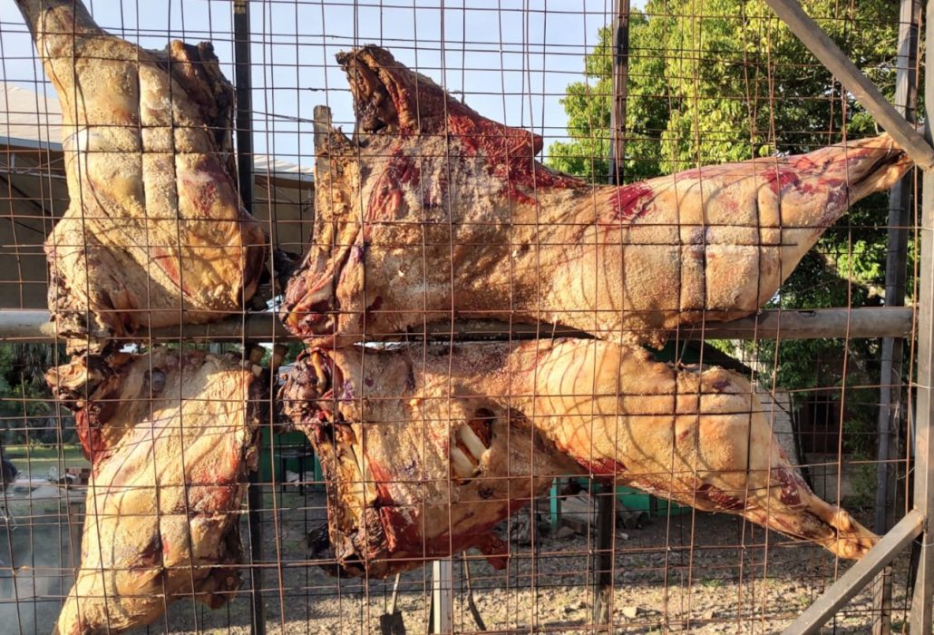 Assado de carcaça inteira de búfalo ganha espaço mais uma vez no aniversário de Passo do Sobrado
