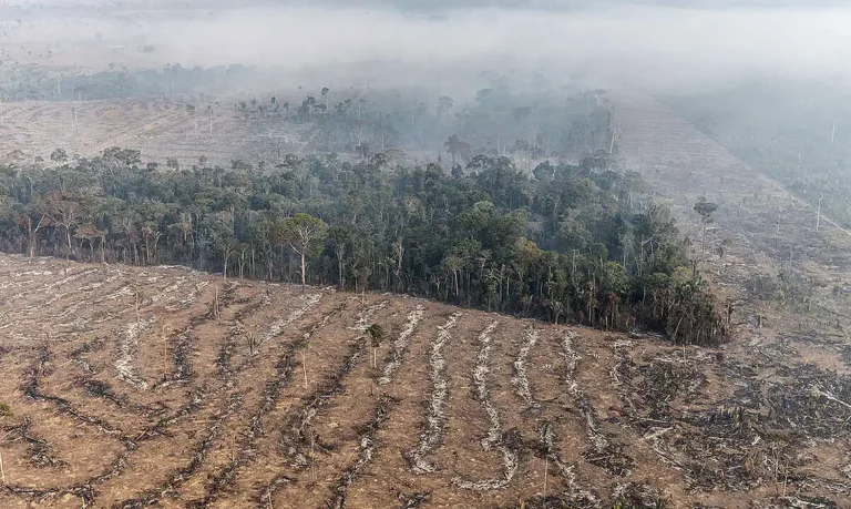STF permite desapropriação de terra por incêndio ilegal e desmatamento