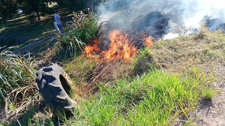 Ocorrência de Incêndio em Vegetação na ERS-405