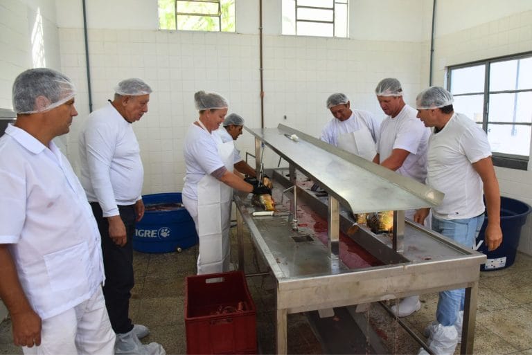 Abatedouro de peixes recebe investimento de R$ 30 mil para adequações