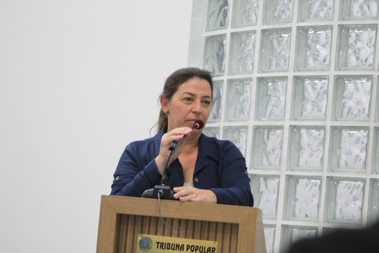 Vereadora Juliana (PDT) Destaca Segurança, Educação e Apoio ao Autismo em Pronunciamento na Câmara Municipal