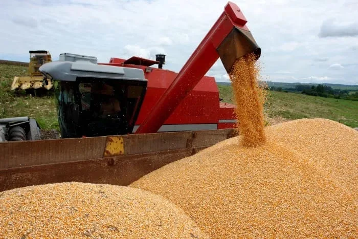 Produção de grãos é estimada em 330,3 milhões de toneladas