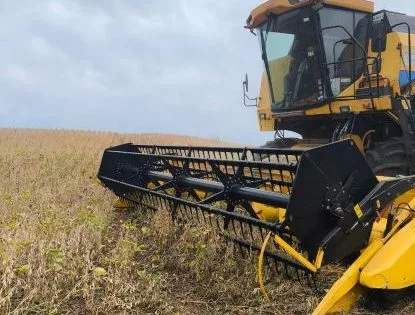 Colheita da soja é praticamente concluída no Rio Grande do Sul, mas perdas preocupam produtores