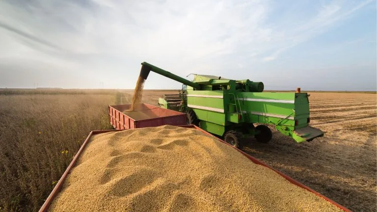 Conselho Monetário Nacional autoriza prorrogação de crédito rural com novas regras para produtores afetados