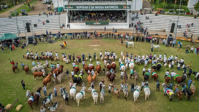 Expointer 2025 é inaugurada em Esteio com grande expectativa do setor agropecuário
