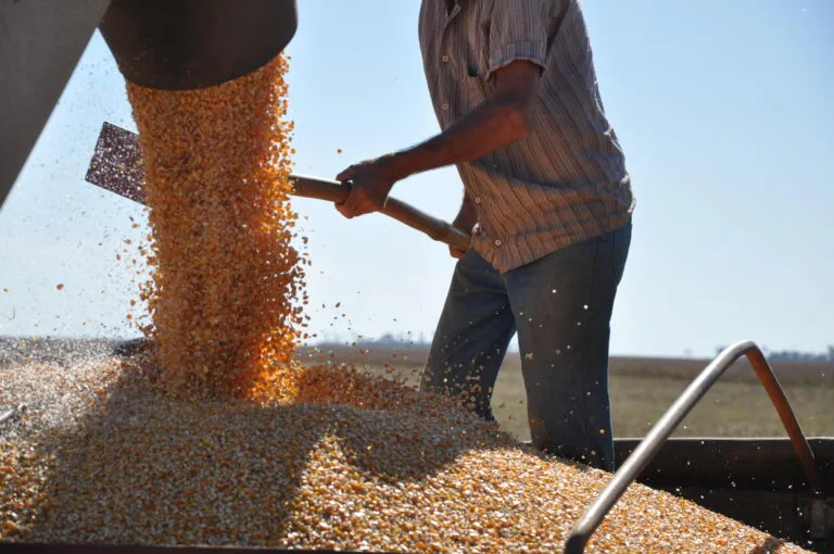 Conab estima produção de 345,2 milhões de toneladas no país e de 33,3 milhões de toneladas no RS