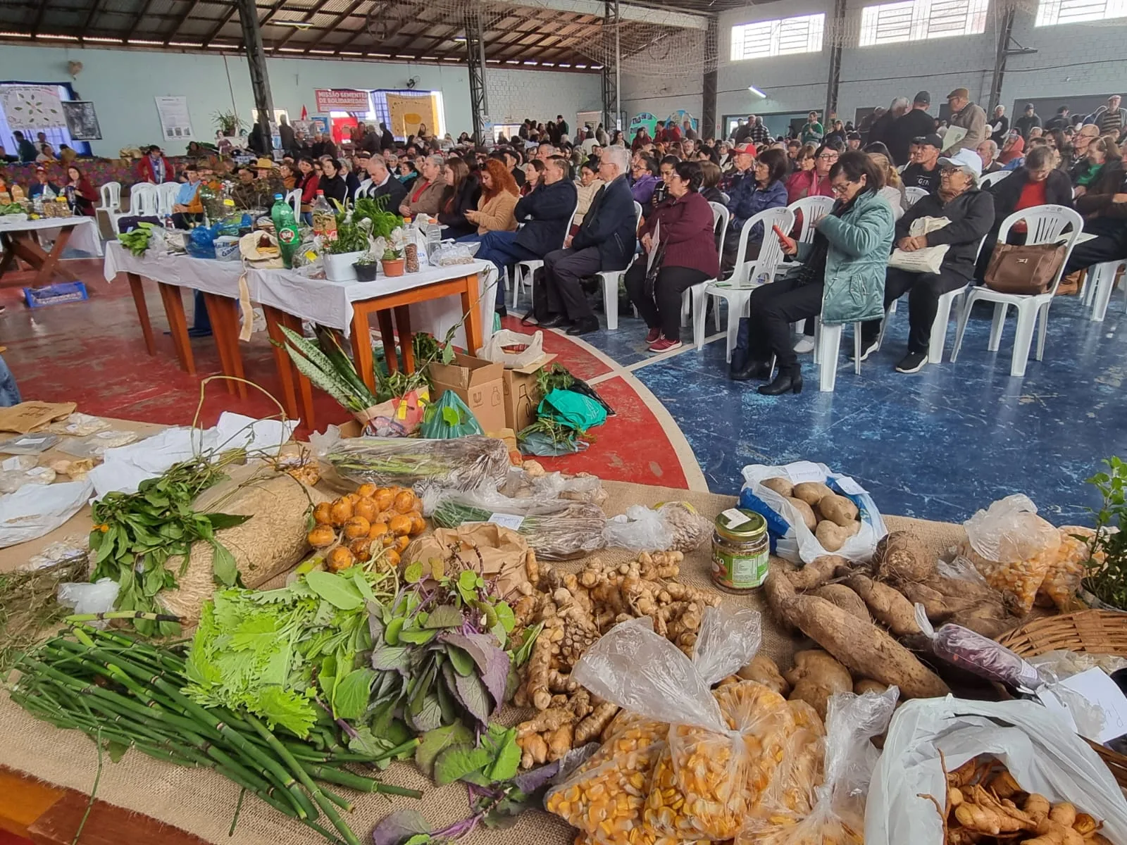 Guardiões de Passo do Sobrado participam do 25º Encontro Diocesano de Sementes Crioulas