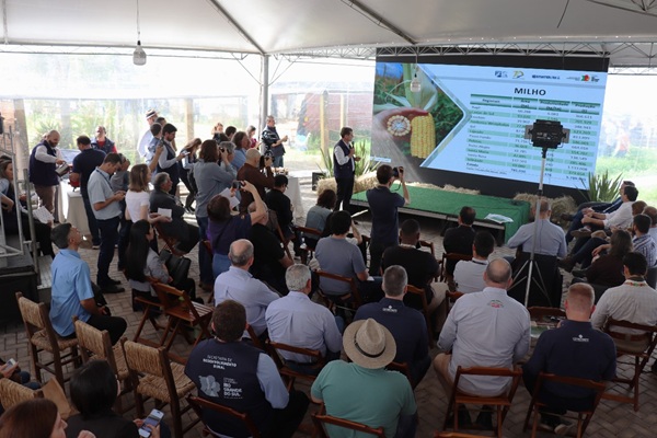 Expointer 2025: Emater/RS-Ascar projeta aumento na produção de soja e milho no RS