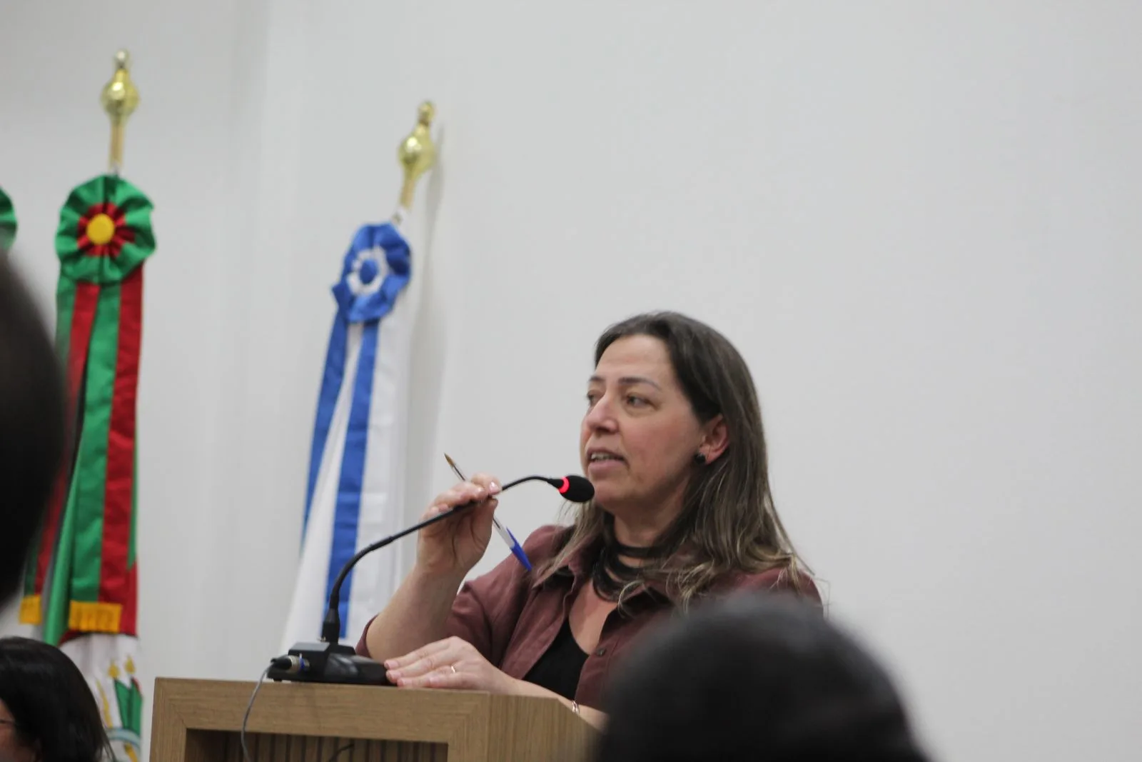 Vereadora solicita detalhamento da aplicação
dos recursos do FUNDEB em Passo do Sobrado