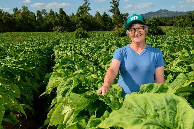 JTIBio promove equilíbrio entre produção
agrícola e preservação ambiental