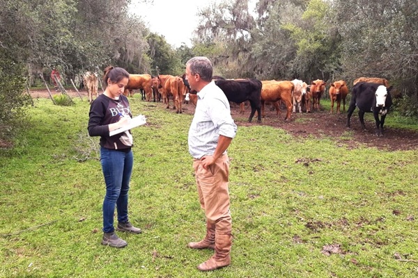 Primavera é o momento ideal para o manejo estratégico e proteção do rebanho contra parasitas