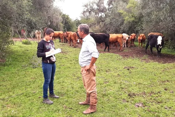 Primavera é o momento ideal para o manejo estratégico e proteção do rebanho contra parasitas