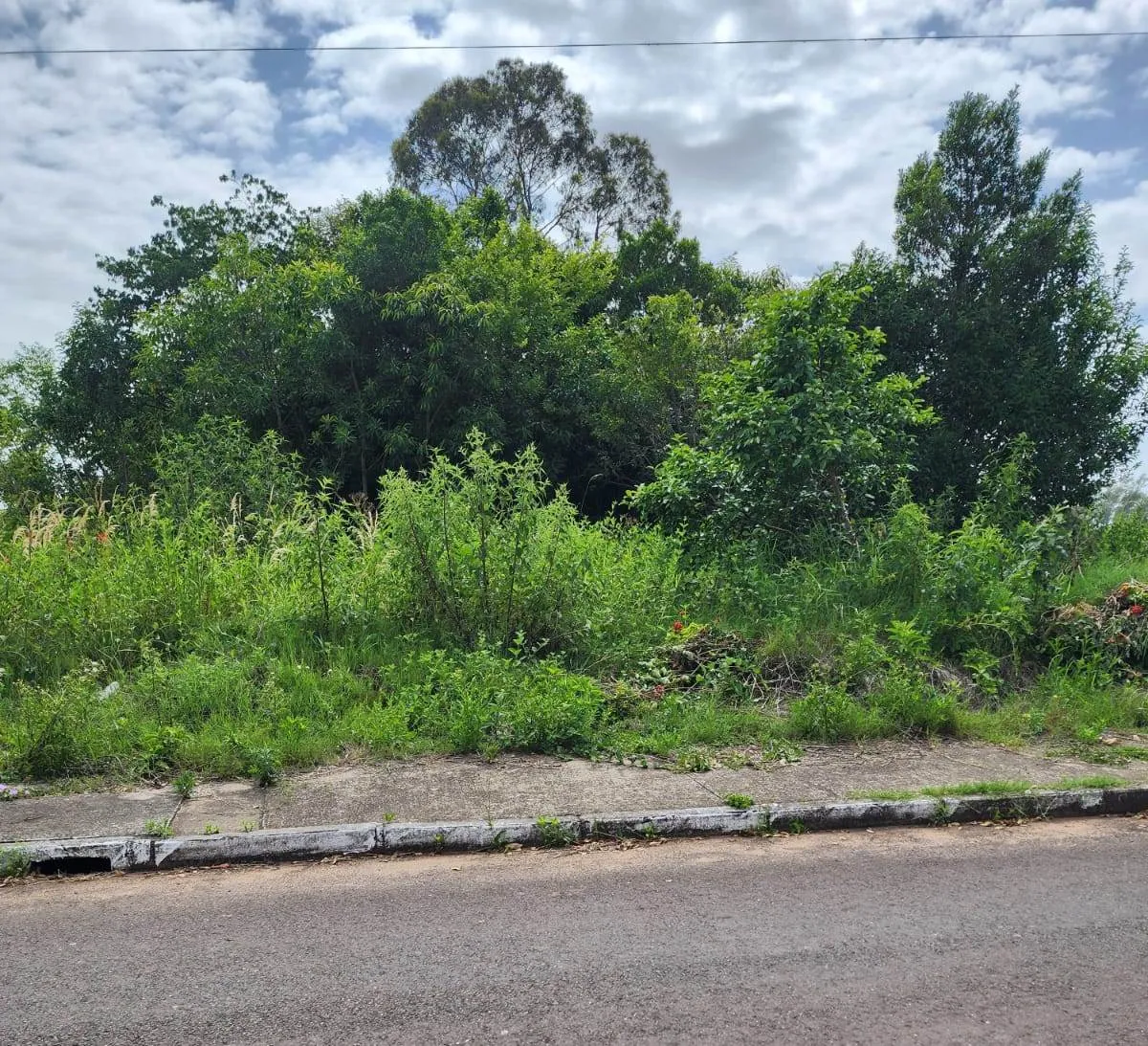 Prefeitura de Vale Verde intensifica cobrança por limpeza de terrenos baldios no perímetro urbano