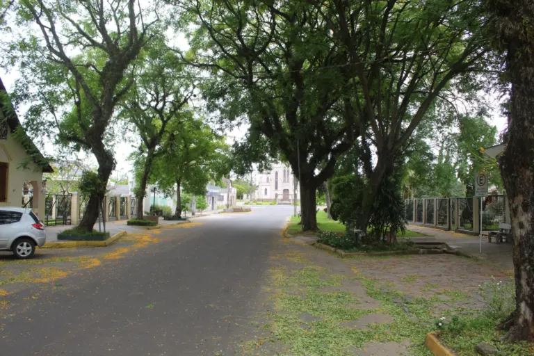 Suspeita de envenenamento de árvores no centro de Passo do Sobrado gera preocupação