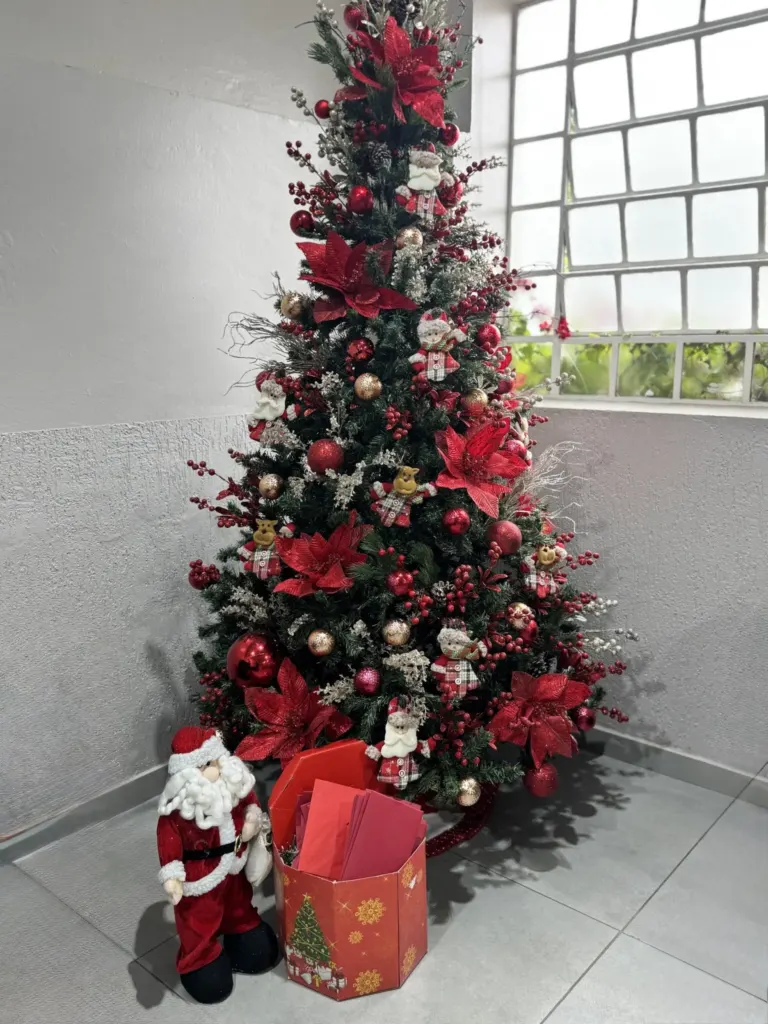 Projeto “Adote uma Cartinha de Natal” mobiliza comunidade e leva esperança às crianças