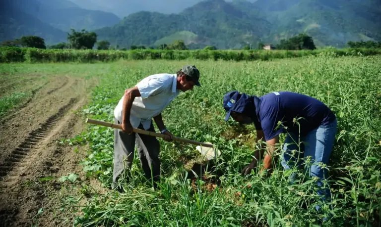 Microcrédito do Pronaf B fortalece  pequenos produtores no Rio Grande do Sul