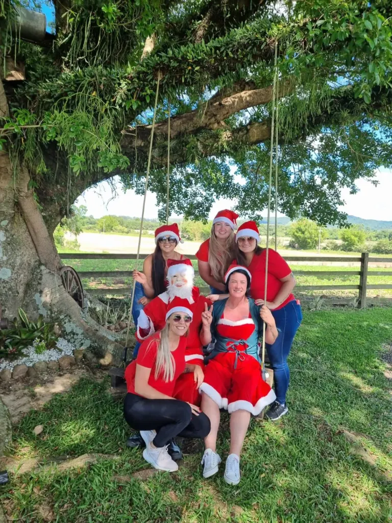 Quem Somos Nós, as
Gurias do Natal Solidário?