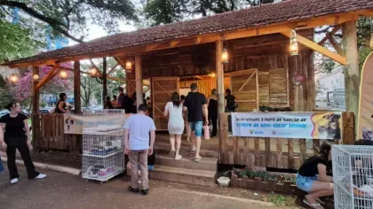 Feira de adoção resulta em 24 animais adotados em Santa Cruz do Sul