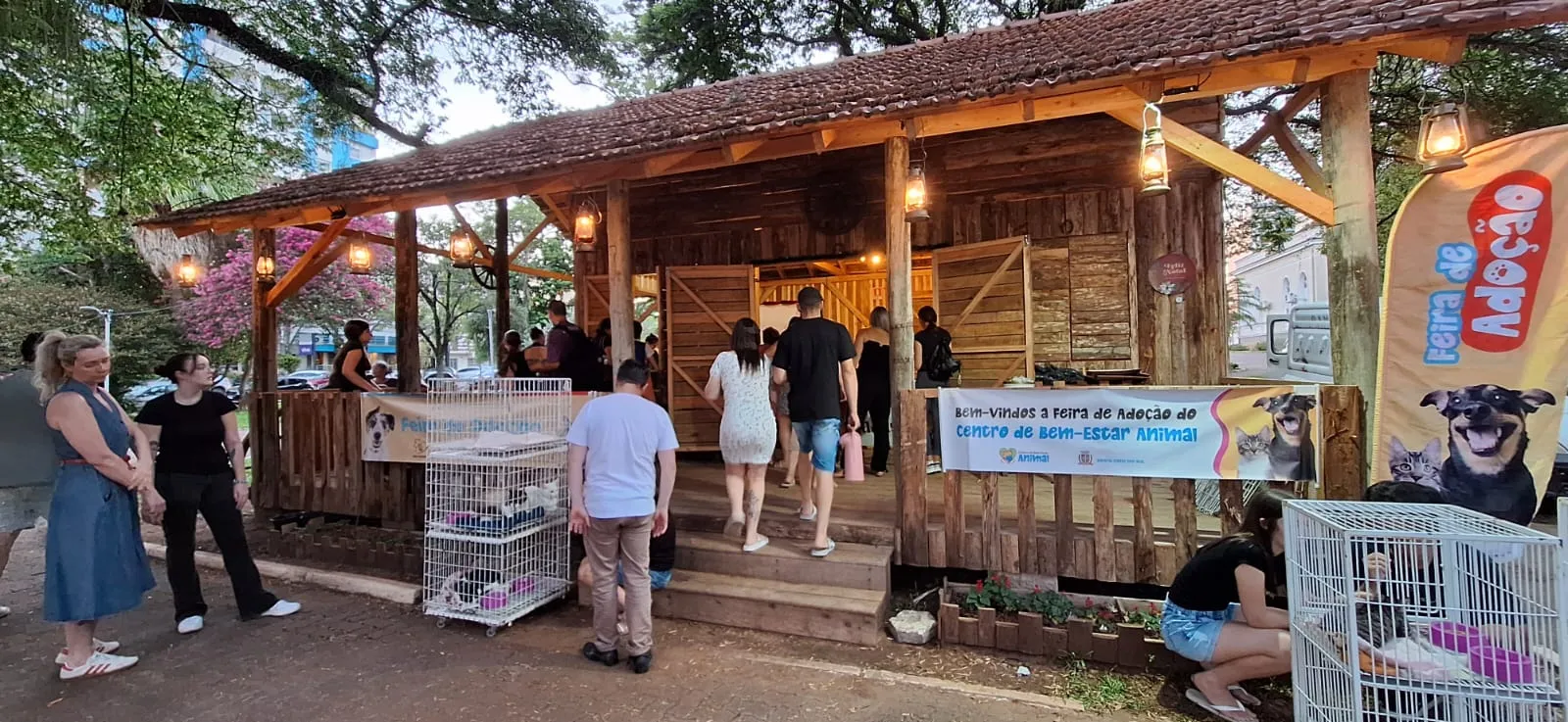 Feira de adoção resulta em 24 animais adotados em Santa Cruz do Sul