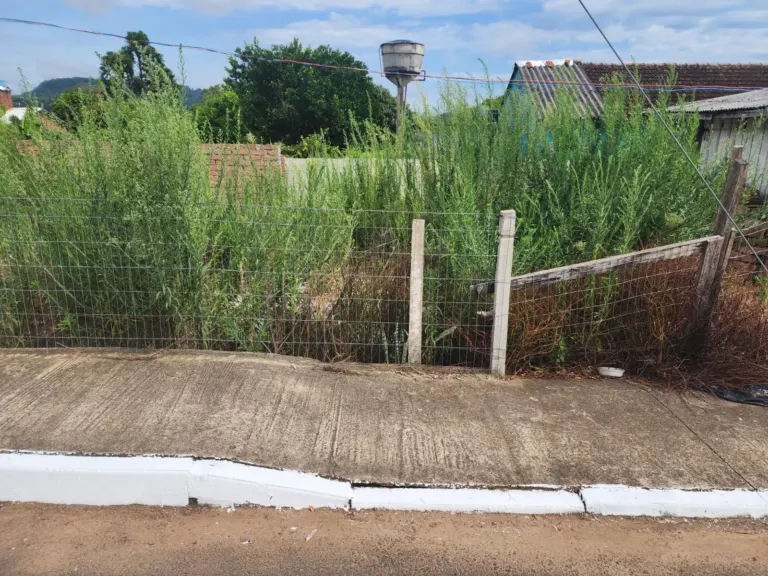 Prefeitura de Vale Verde intensifica fiscalização e cobra limpeza de terrenos baldios