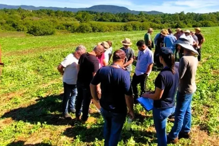 Programa terra forte Estado inicia diagnósticos técnicos em propriedades da região