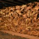 CADE e comercialização do tabaco