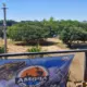 Balneário Monte Alegre promove pedágio solidário e celebra o Carnaval com atrações especiais