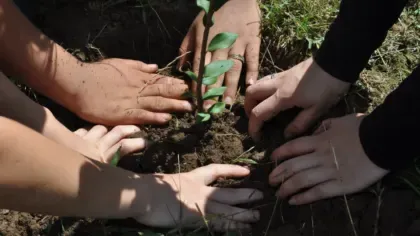 Verde é Vida marca 35 anos com agenda especial