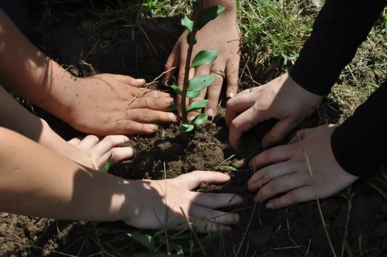 Verde é Vida marca 35 anos com agenda especial