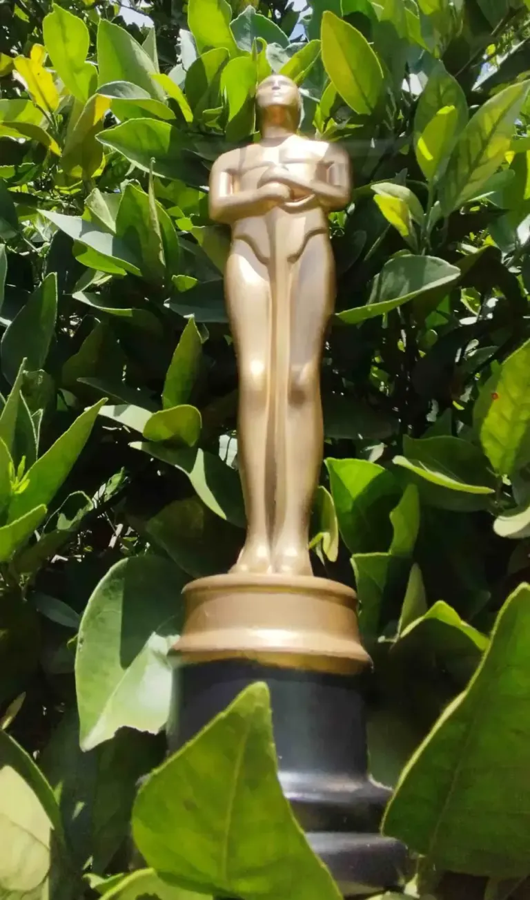 A vitória da distribuição do cinema brasileiro