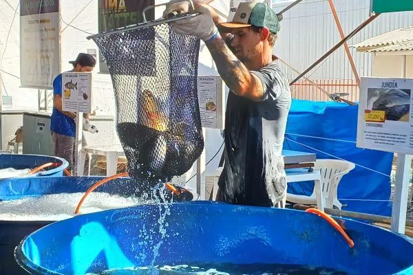 Emater projeta venda de mais de 2,8 mil toneladas de peixes no RS durante a Semana Santa