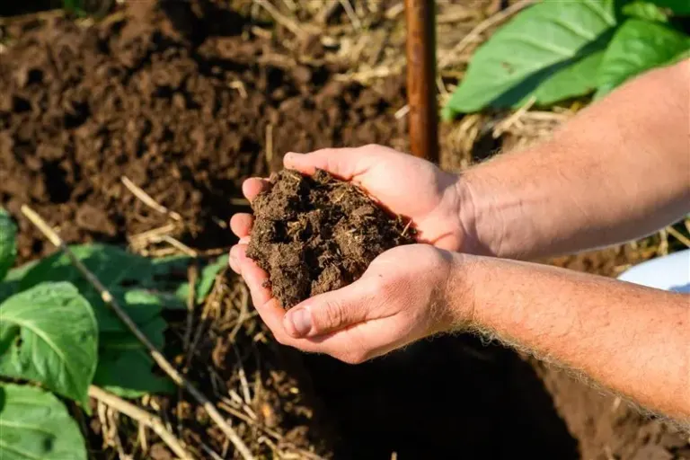 Dia Nacional da Conservação do Solo: programa da JTI amplia ações e fortalece manejo sustentável no campo
