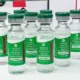 Rio Grande do Sul recebe mais de 130 mil doses da vacina contra a covid-19