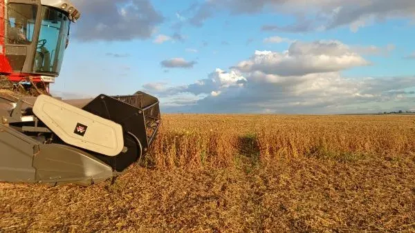 Colheita da soja se aproxima do fim no RS, mas clima impacta ritmo e qualidade da safra