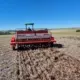 Inicia período recomendado de plantio de trigo no RS