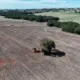 Produtores gaúchos aceleram preparação para safra de inverno no RS