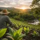 Meio Ambiente e Produção Rural: preservar hoje para garantir o futuro das próximas gerações