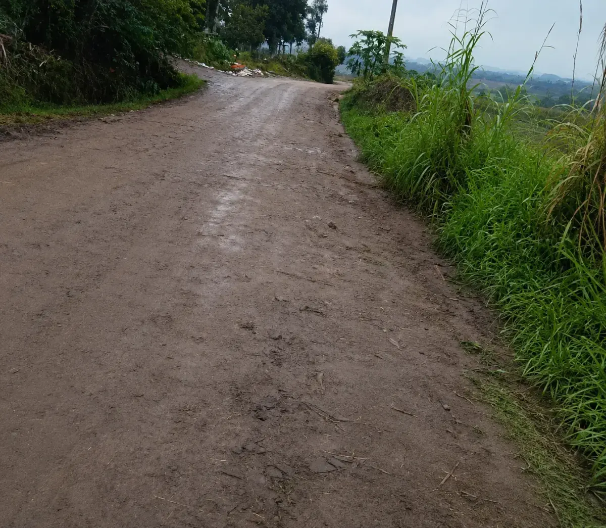 Famílias aguardam instalação de abrigo para estudantes do transporte escolar em Passo do Sobrado