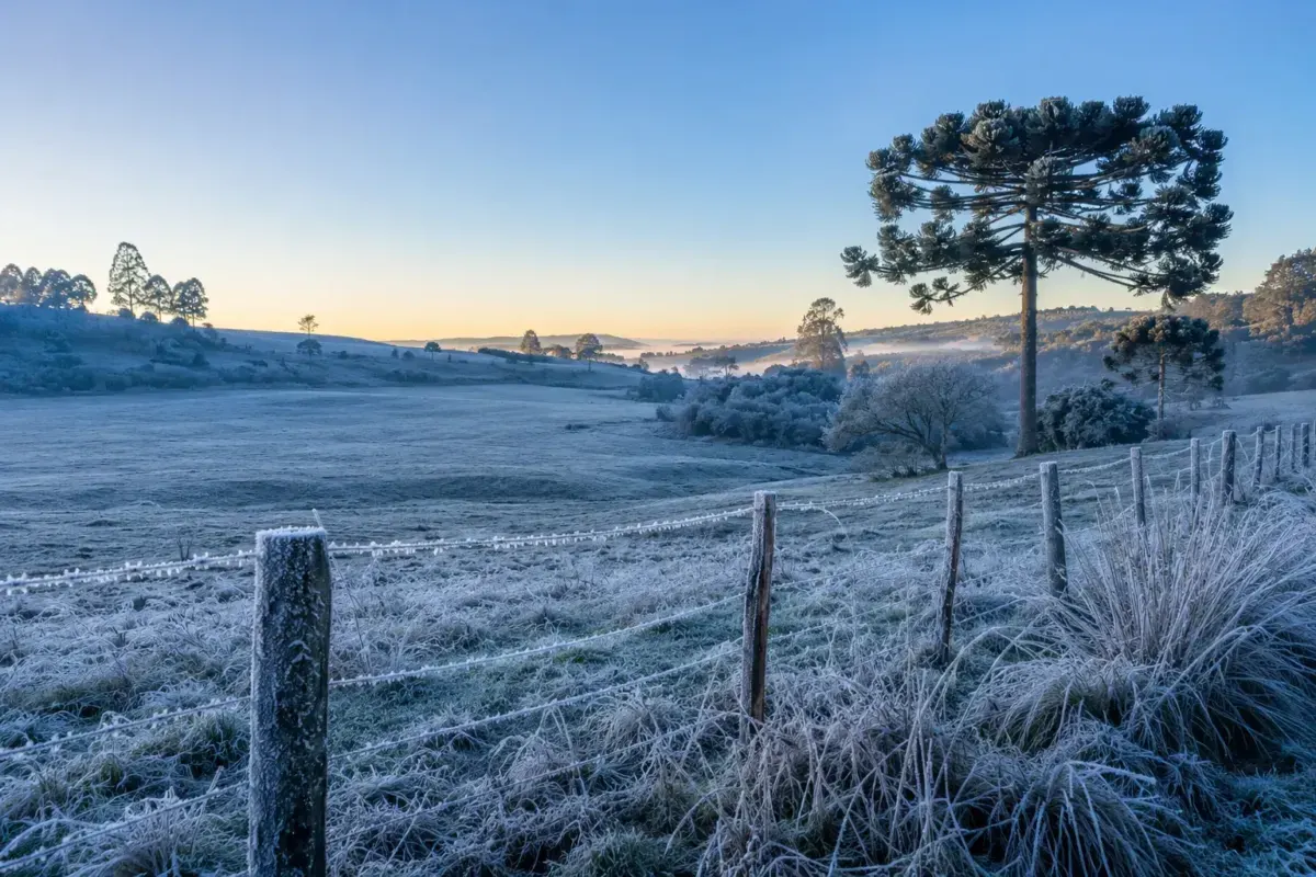 Inverno começa com onda de frio intensa e desafia população e setor agropecuário no Rio Grande do Sul
