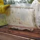 Manejo de abelhas no inverno exige cuidados com nutrição, temperatura e pragas
