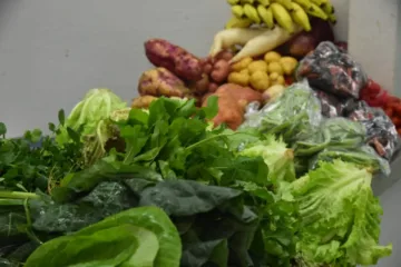 1ª Semana da Agricultura Familiar iniciará na segunda; confira a aprogramação 