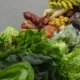 1ª Semana da Agricultura Familiar iniciará na segunda; confira a aprogramação 