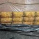 Comercialização da safra de tabaco chega a 65% no RS; quase 98 mil toneladas ainda aguardam venda