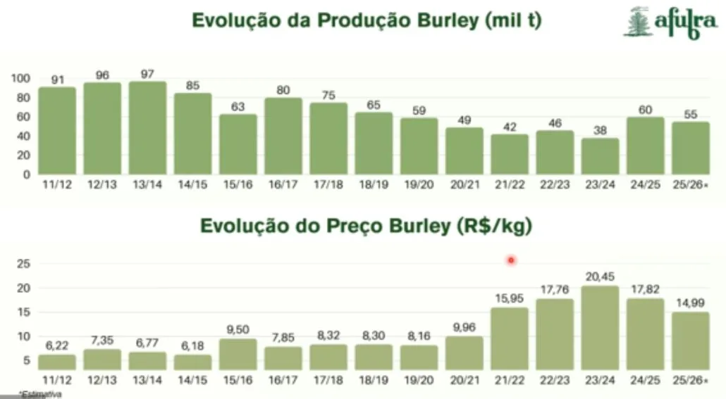 Comercialização mais lenta e queda nas exportações pautam reunião da Câmara Setorial do Tabaco