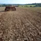 Avanço do Plantio de Inverno e Encerramento das Culturas de Verão Mobilizam o Campo no RS