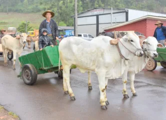 Carro de boi volta às ruas de Passo do Sobrado em encontro que celebra memória e vida no campo