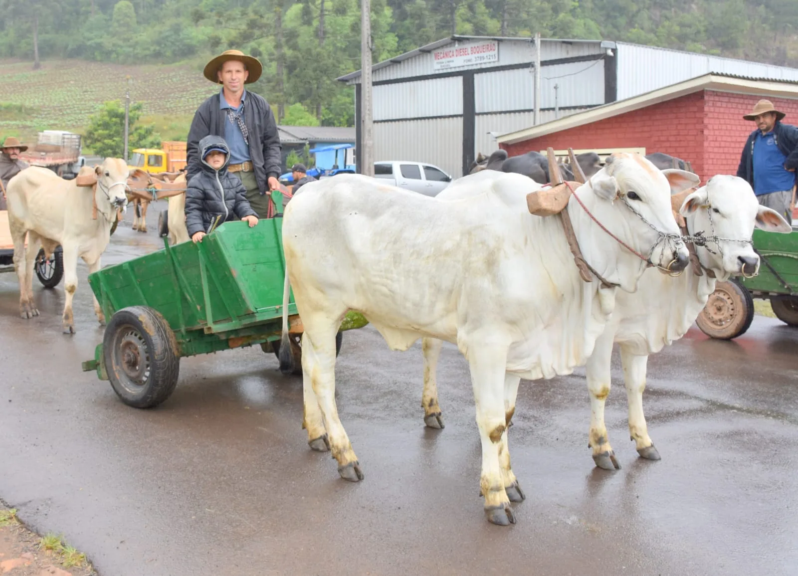 Carro de boi volta às ruas de Passo do Sobrado em encontro que celebra memória e vida no campo