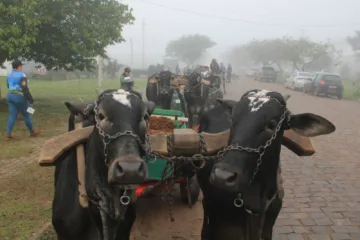 Encontro reúne 40 carros de boi e supera expectativas em Passo do Sobrado