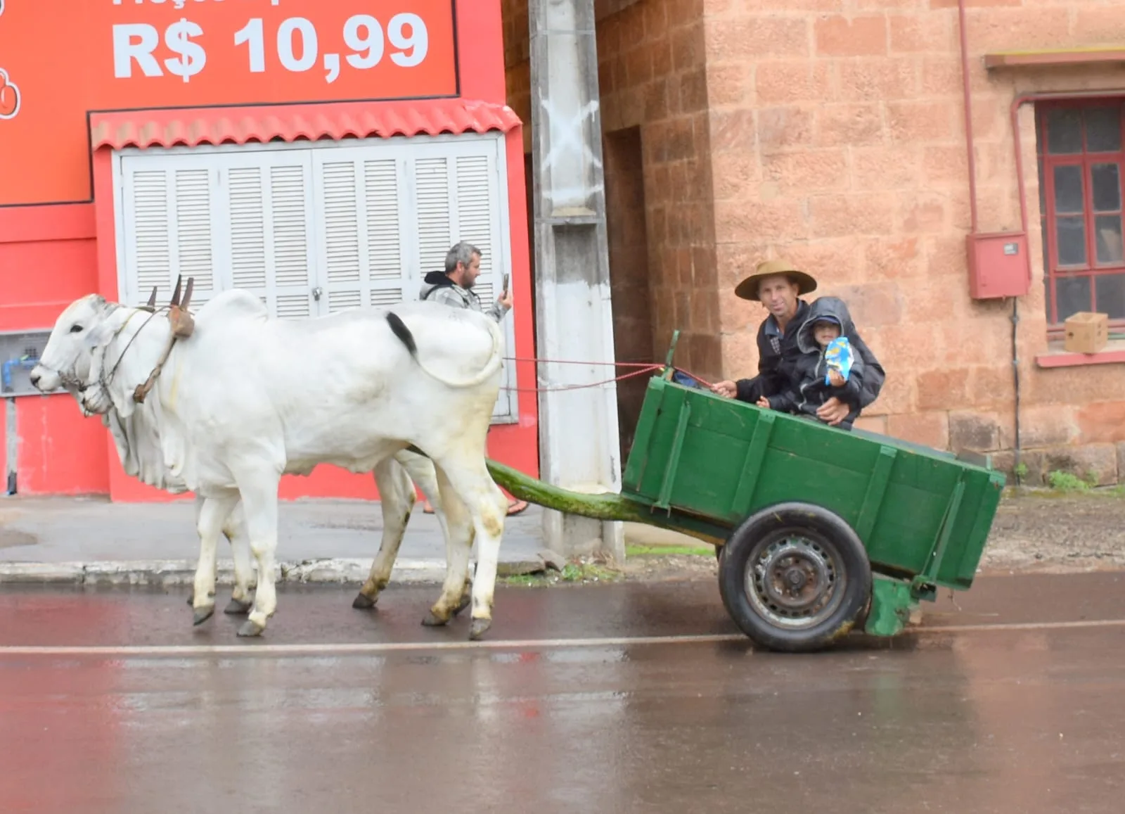 Passo do Sobrado celebra Colono e Motorista com desfile e encontro inédito de carros de boi